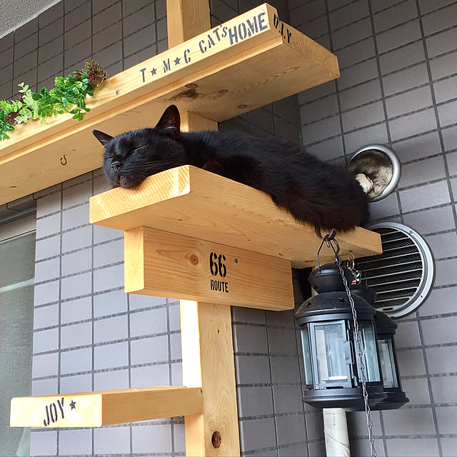 chirotanさんの実例写真
