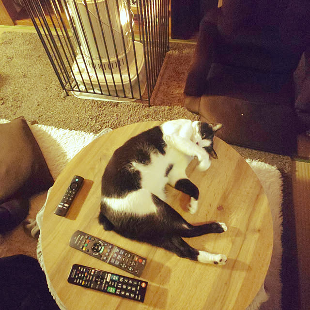 oseroさんの実例写真