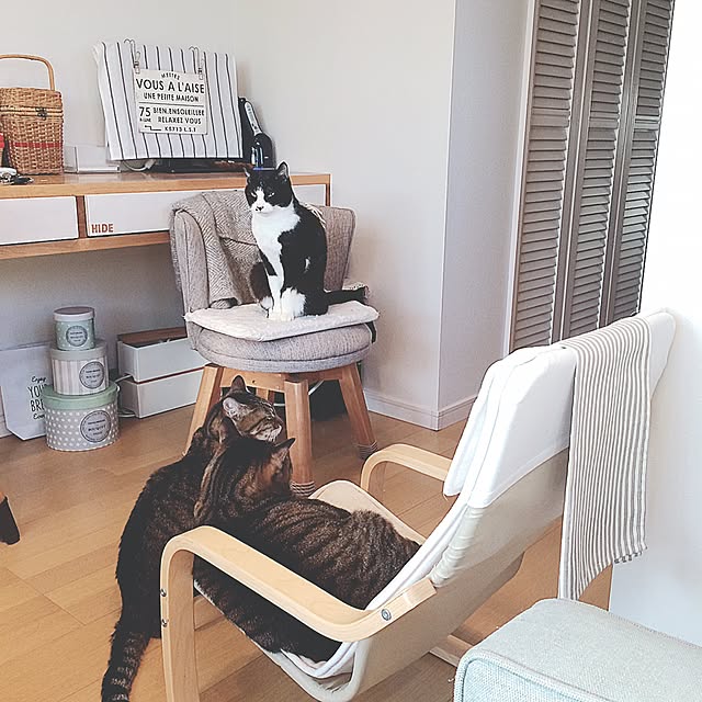 lovecatさんの実例写真