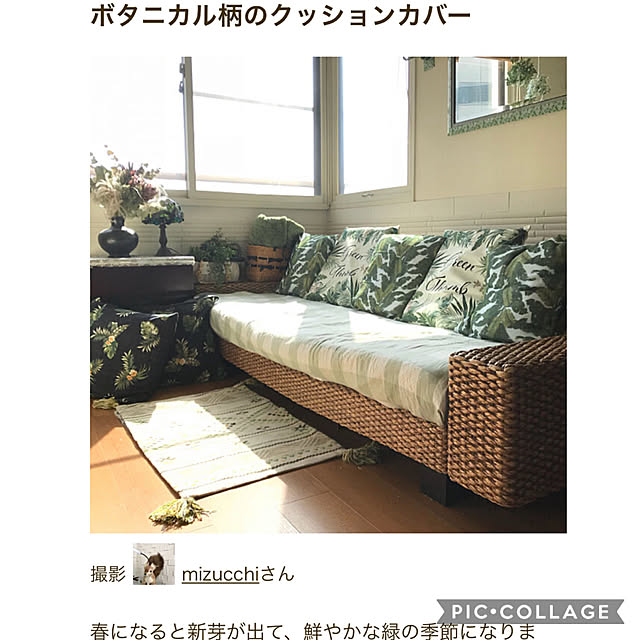 mizucchiさんの実例写真