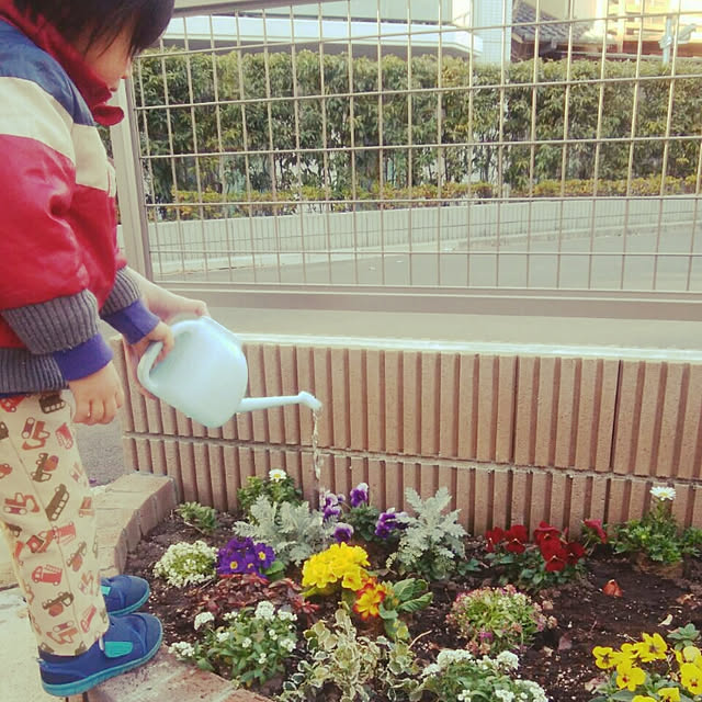 maikoronnさんの実例写真