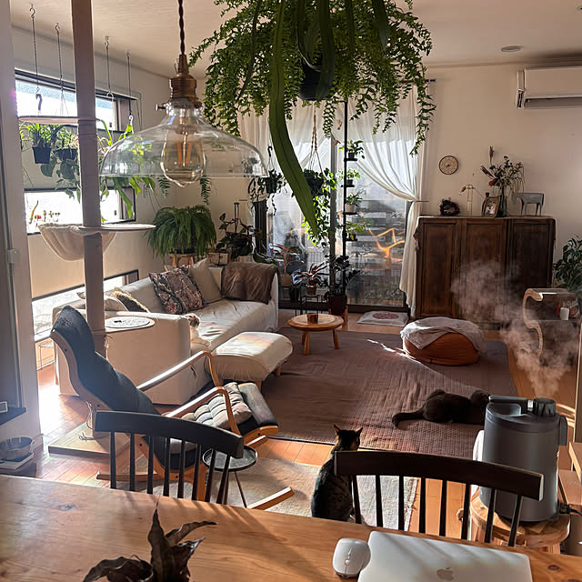 greycatsさんの実例写真