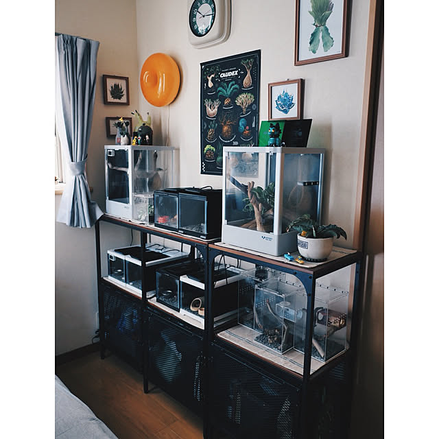 w_end_0625さんの実例写真