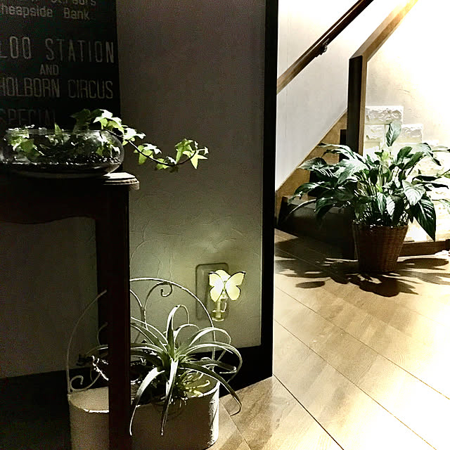 burgundy.roseさんの実例写真