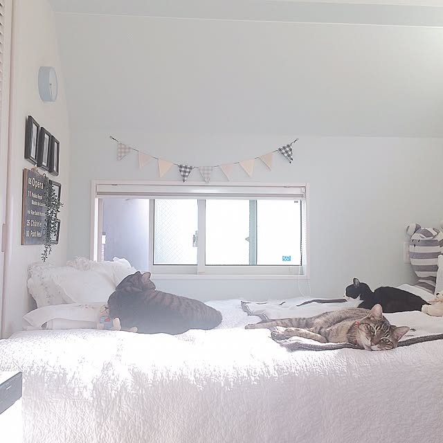 lovecatさんの実例写真