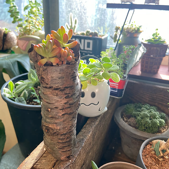 rukakoさんの実例写真