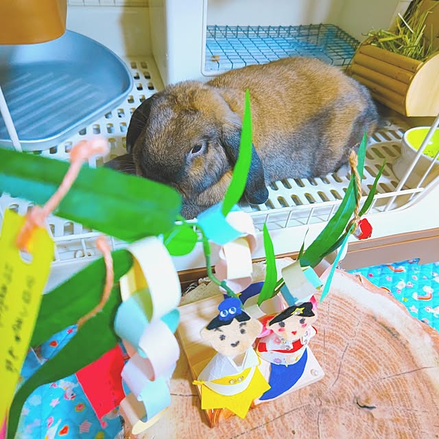 mariaさんの実例写真