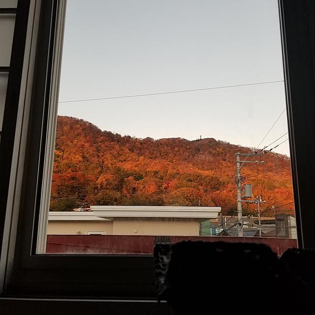 neoさんの実例写真