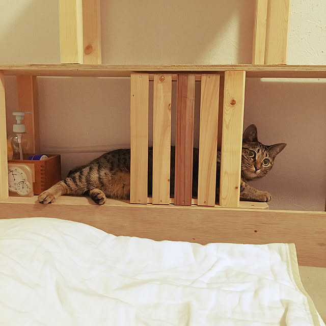 Mさんの実例写真