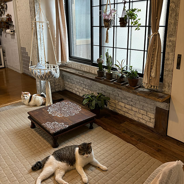 Mikazukiさんの部屋