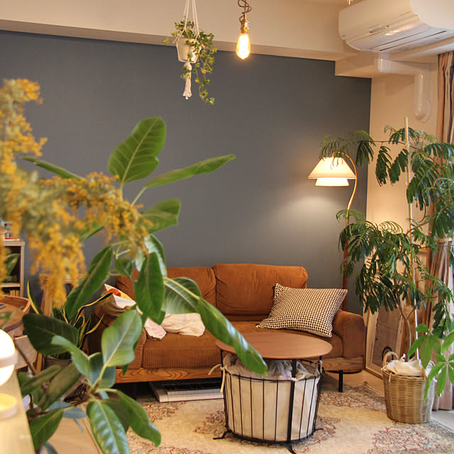 busho_no_hahaさんの実例写真