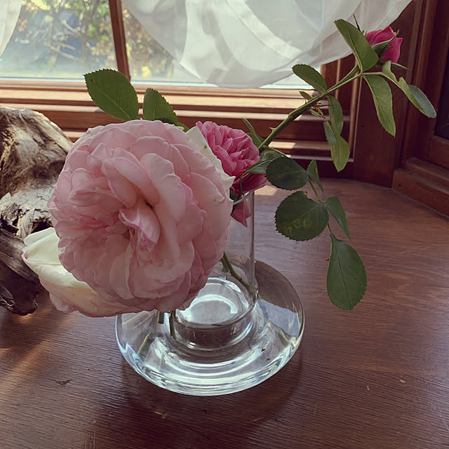 Yukoさんの実例写真