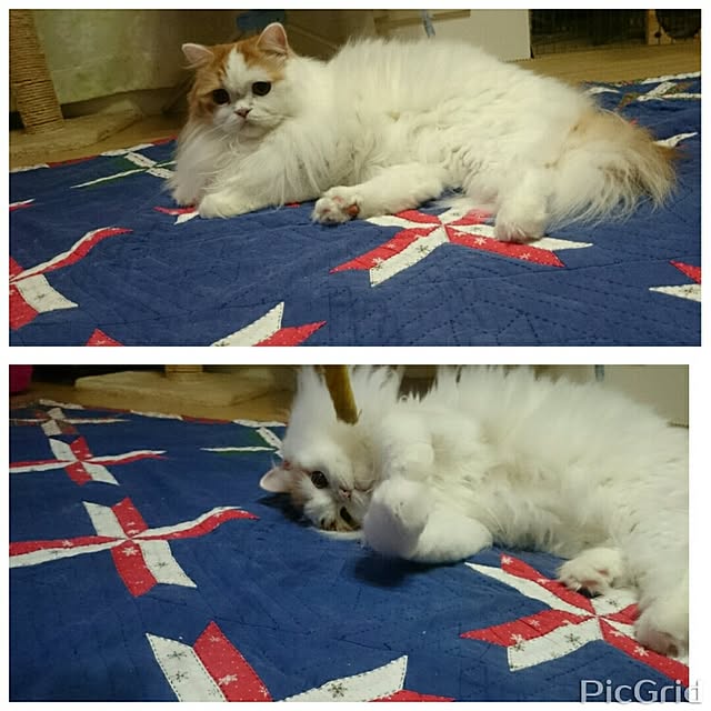 1ldksさんの実例写真