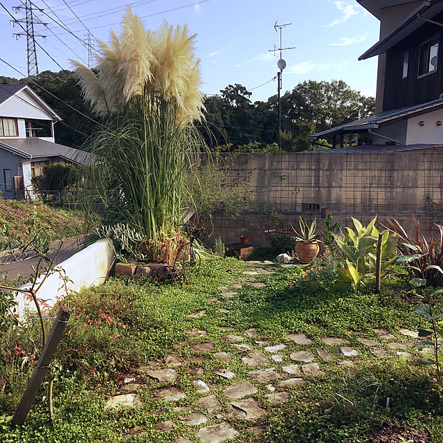 ulalaさんの実例写真