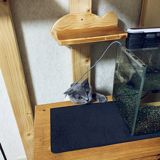 masaさんの実例写真