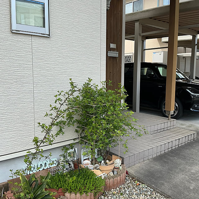 chiiyanさんの部屋