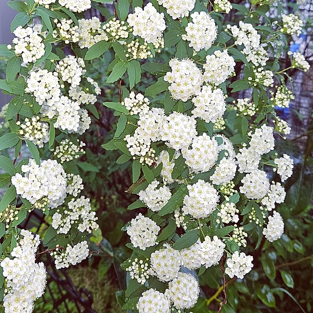 mocomocoさんの部屋