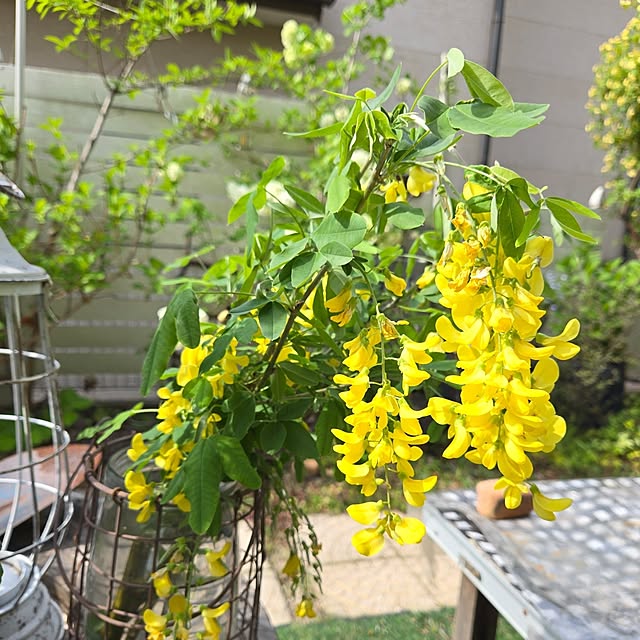min_nimさんの実例写真