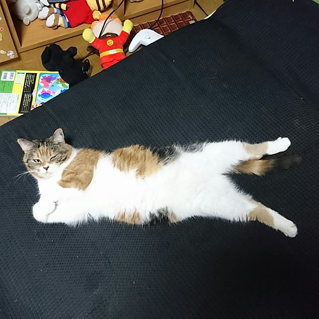 yukieさんの実例写真
