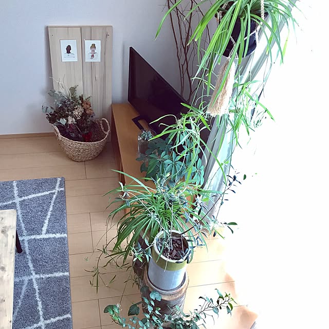 saさんの実例写真