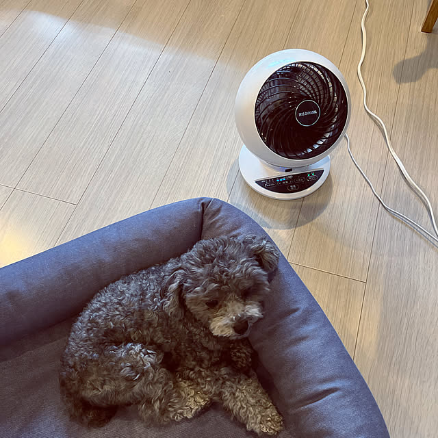 vickyfukuさんの実例写真
