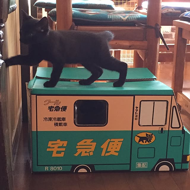 bowbowcoさんの実例写真