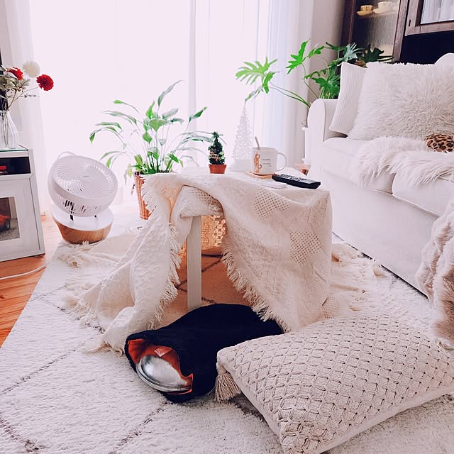 surviveさんの部屋