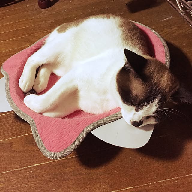 vivienne.coco-keiさんの実例写真