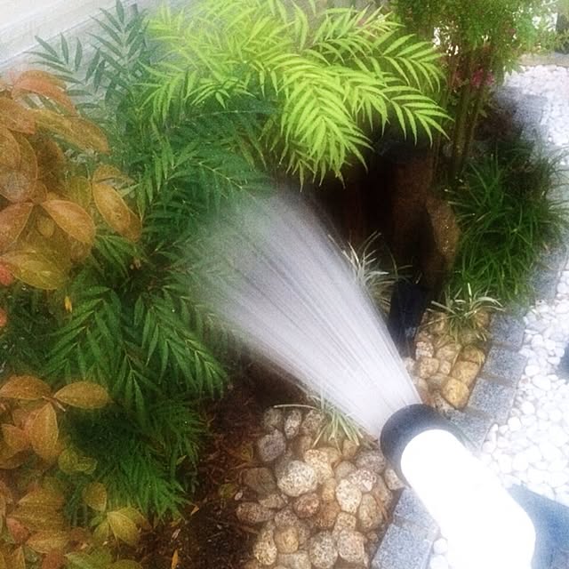 k.koさんの実例写真