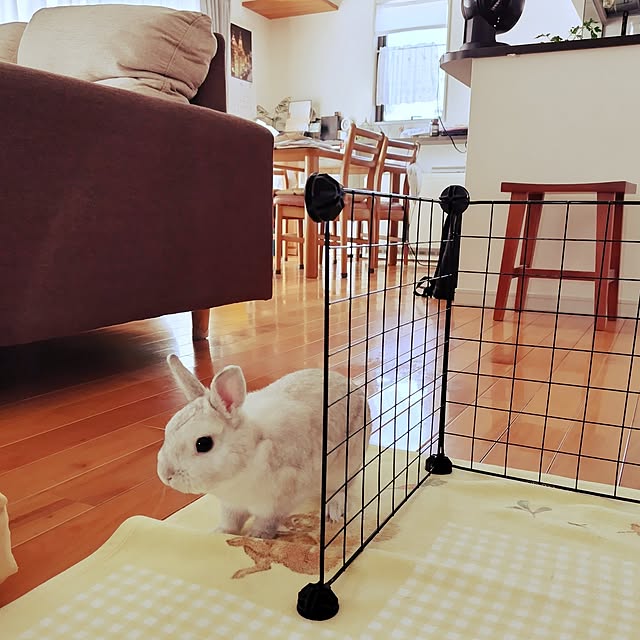 mutsuさんの実例写真