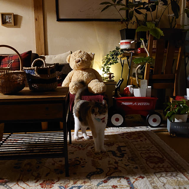 fukuさんの実例写真