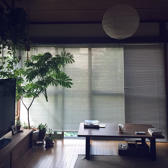 kaothe390さんの実例写真