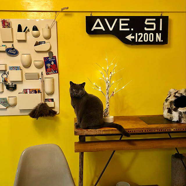 Shojiさんの実例写真