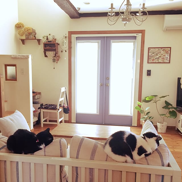 ktysさんの実例写真