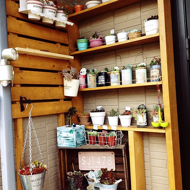 玄関/入り口/多肉植物/DIY/リメ缶のインテリア実例 - 2016-06-02 22:19:59