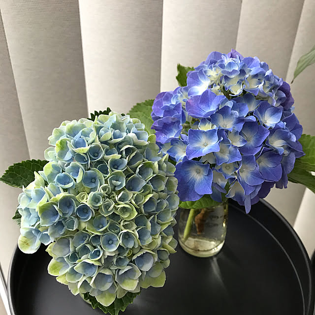 maroさんの実例写真