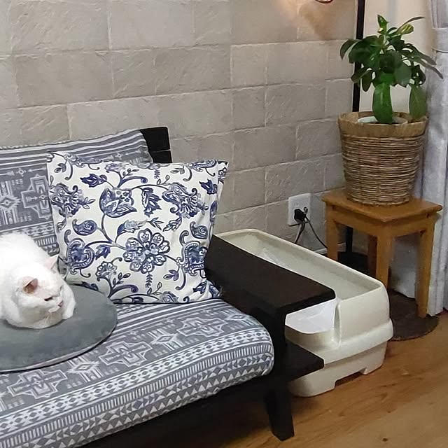 38catさんの部屋