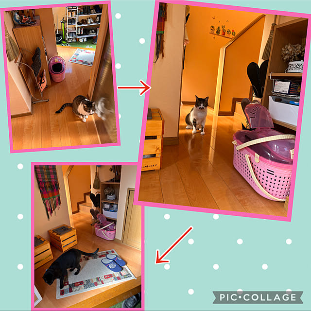 jijiさんの実例写真