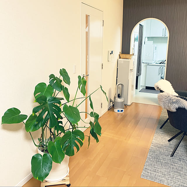 mashiro0331さんの実例写真