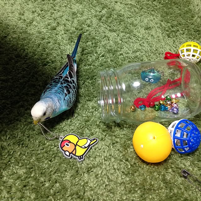 Rikoさんの実例写真