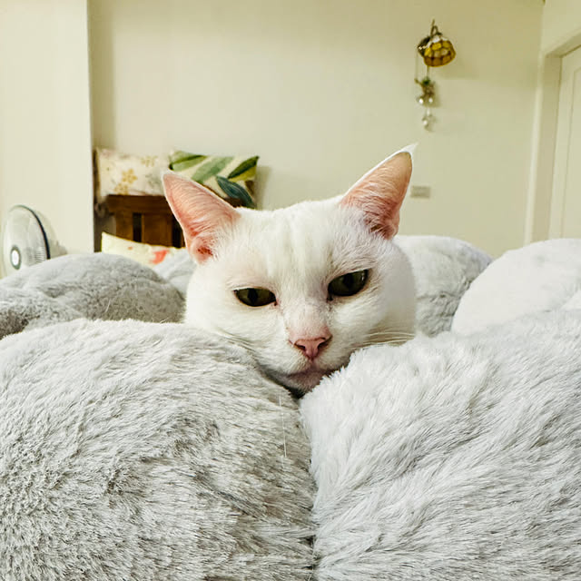 pcu110さんの部屋