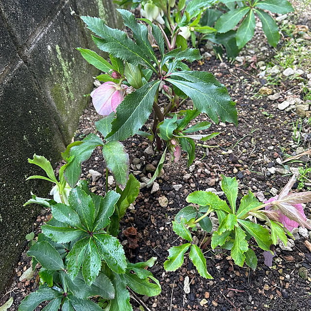 ritsukoさんの部屋