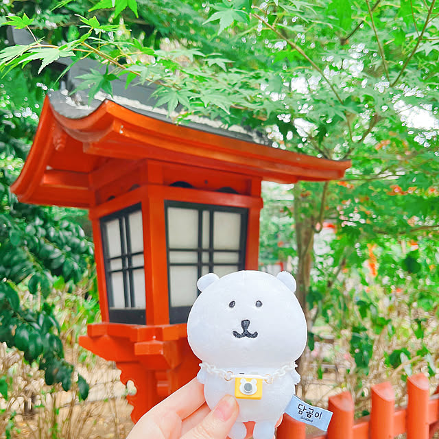 pankumaさんの部屋