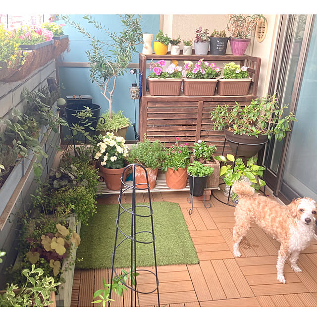 marukoさんの部屋