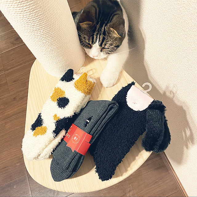 tansukeさんの実例写真