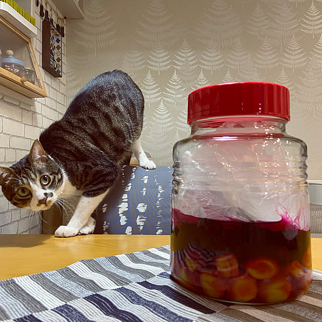 ippu0303Karinさんの実例写真