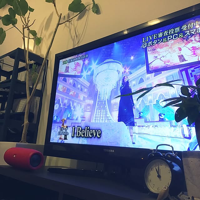 pochiさんの実例写真