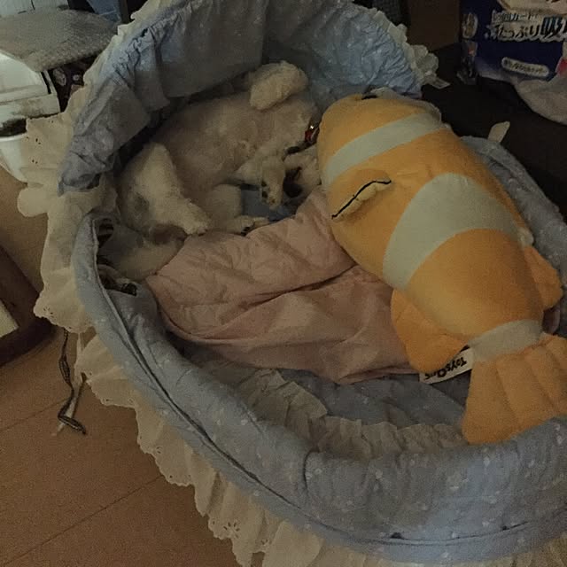 emiさんの実例写真