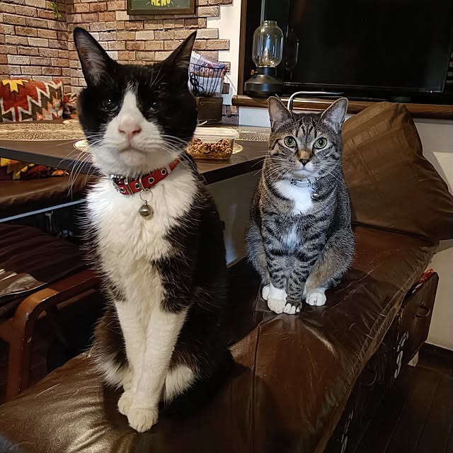 cocoさんの実例写真