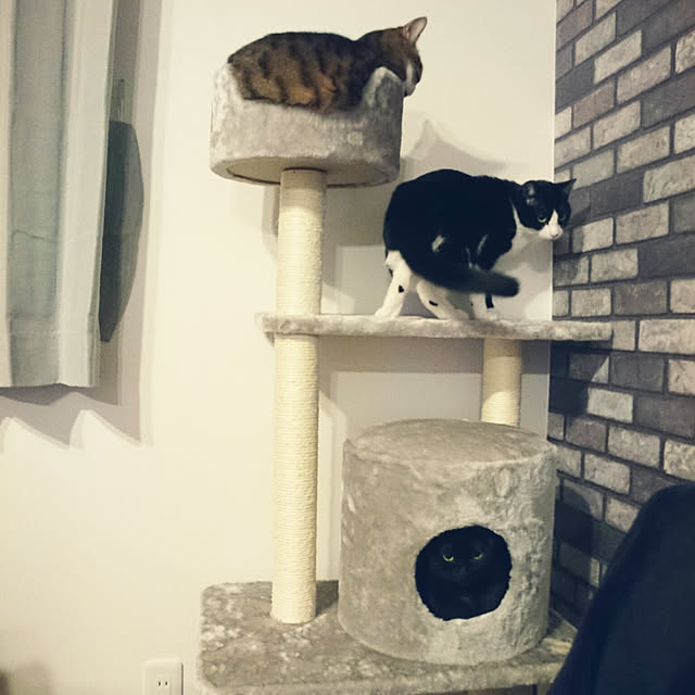 shiiiさんの実例写真